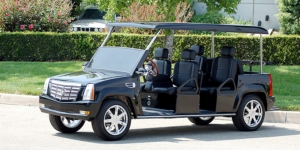 affordable golf cart rental, golf cart rent silver lakes, cart rental silver lakes