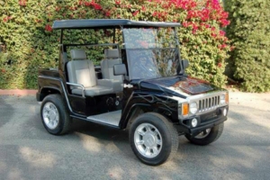 affordable golf cart rental, golf cart rent silver lakes, cart rental silver lakes